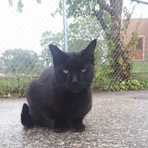 Meet your Posher, Jade